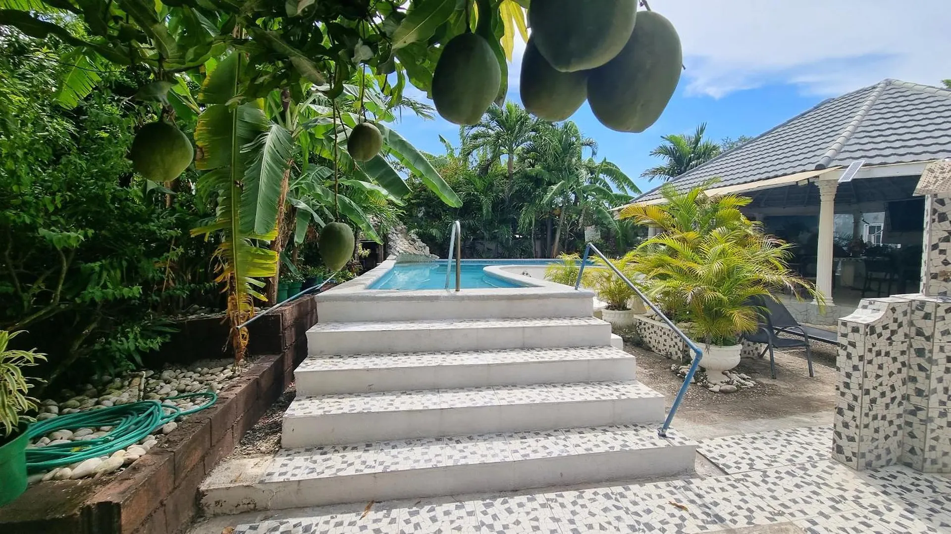 Little Savoy Guest House New Runaway Bay Jamajka